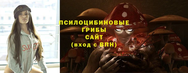 2c-b Балахна